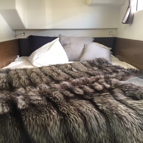 fox-silver-lasiberia